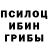 Галлюциногенные грибы GOLDEN TEACHER CySciborg