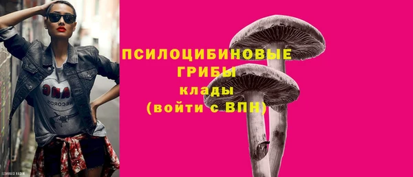 молекула духа Наволоки