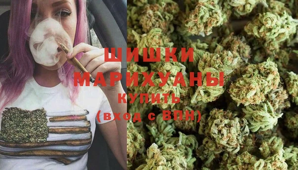мет Надым