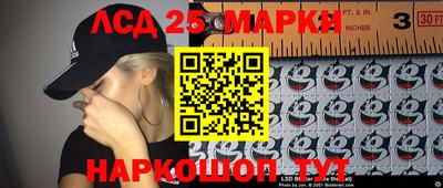 ALPHA PVP Гатчина