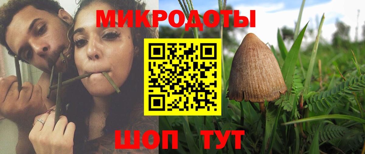 Карталы  закладка  Вход с VPN  Галлюциногенные грибы GOLDEN TEACHER 