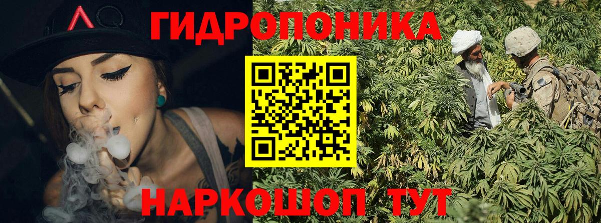 Конопля ГИДРОПОН  Вход с VPN  Карталы  МАРИХУАНА индика 